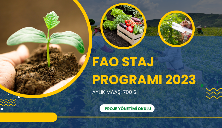 fao-staj