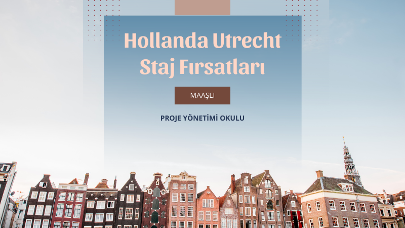 hollanda-staj