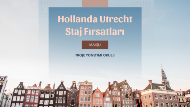 hollanda-staj