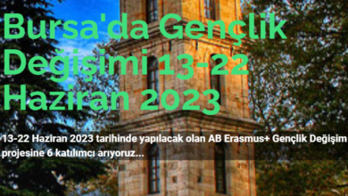 bursa-erasmus