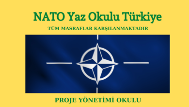nato-yaz-okulu