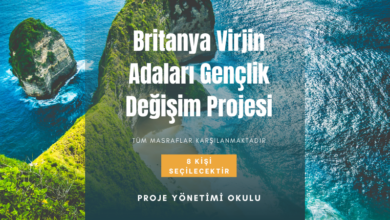 virjin-britanya