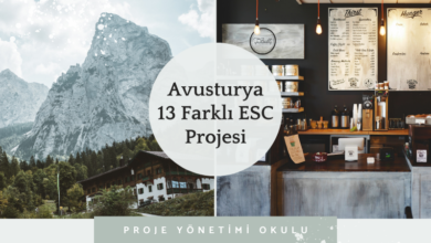 avusturya-13-farkli-esc