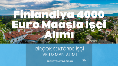 finlandiya