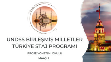 birlesmis-milletler