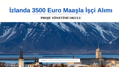 izlanda-isci-alimi