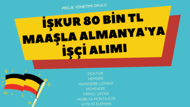 almanya'ya-isci-alimi