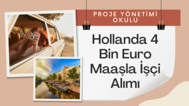 hollanda-isci-alimi