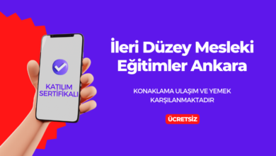 mesleki