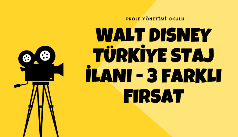 disney-staj