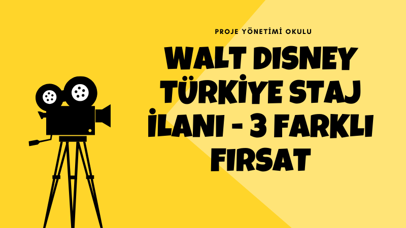 disney-staj