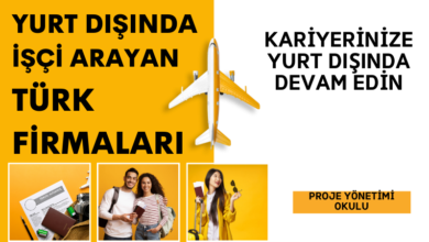 yurt-disinda-isci