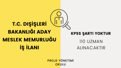 aday-meslek