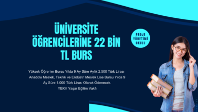 22-bin-tl-burs