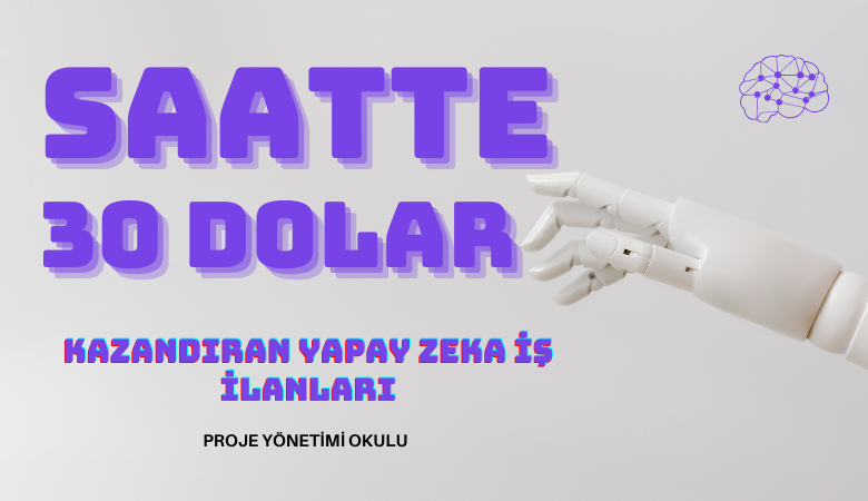 saatte-30-dolar