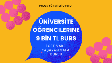 9-bin-tl-burs