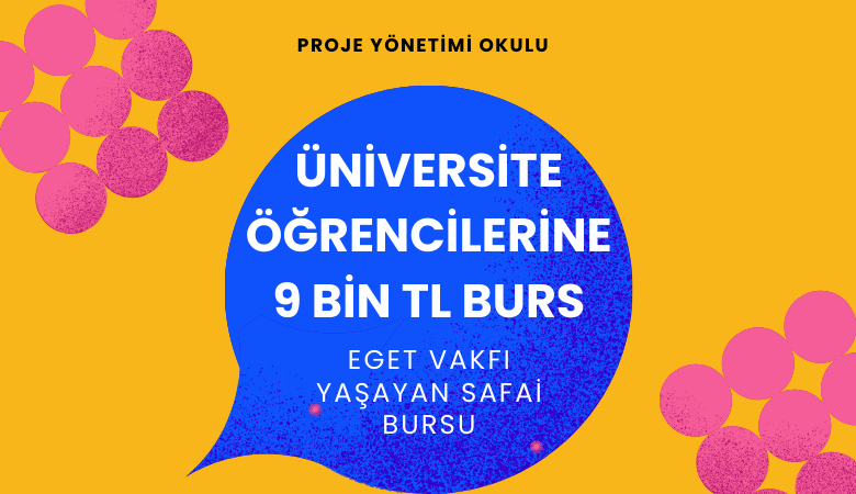 9-bin-tl-burs