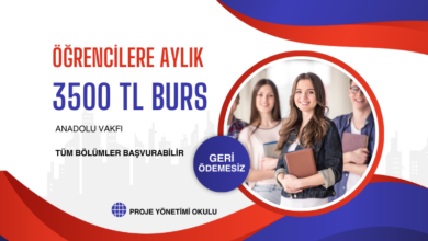 3500-burs