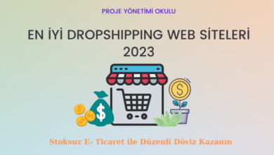 en-iyi-dropshipping