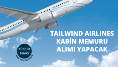 tailwind