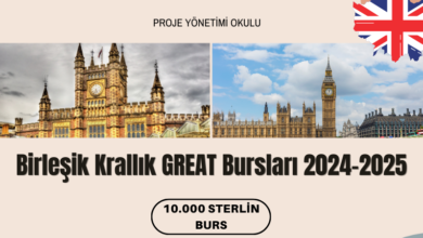 great-burslari