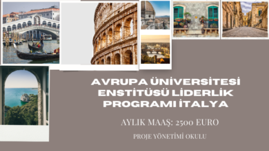 avrupa-universitesi