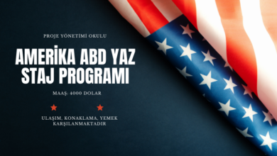 amerika-abd-staj