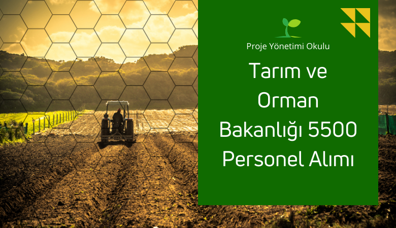 tarim