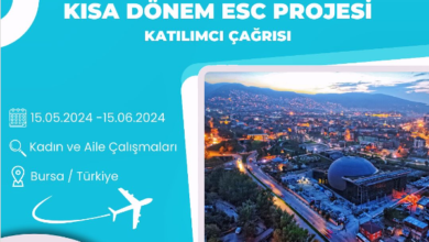 bursa