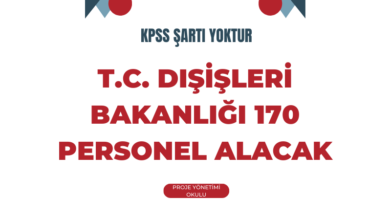 disisleri