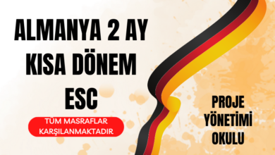 2-ay