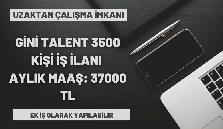 gini-talent