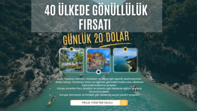 gonulluluk