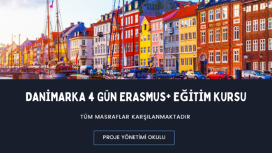 danimarka