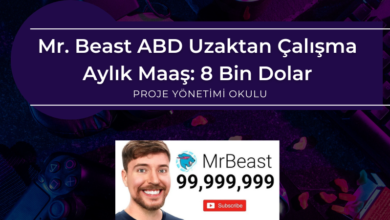mrbeast