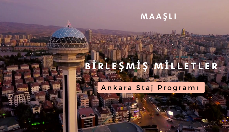 birlesmis-milletler