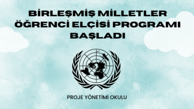 birlesmis-milletler