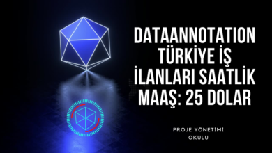 dataannation