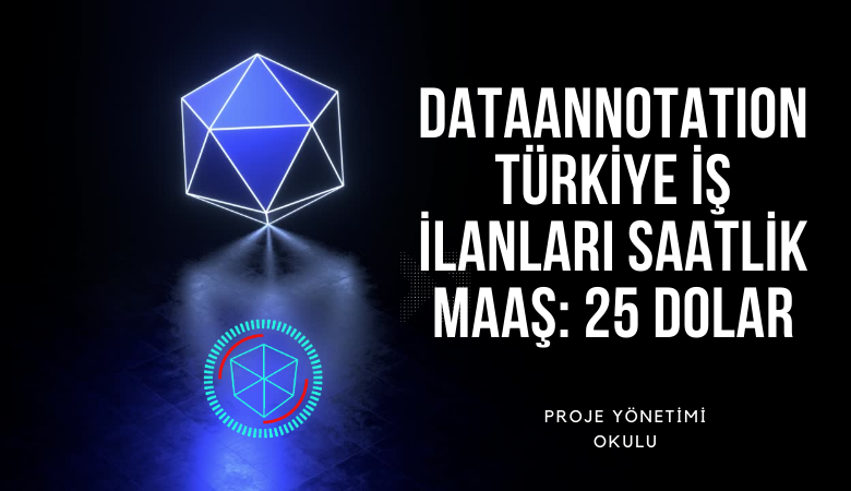 dataannation