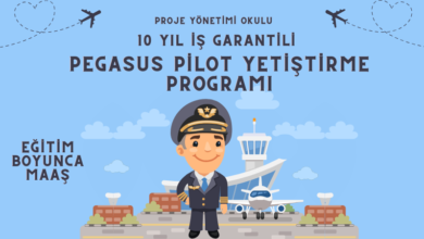 pegasus