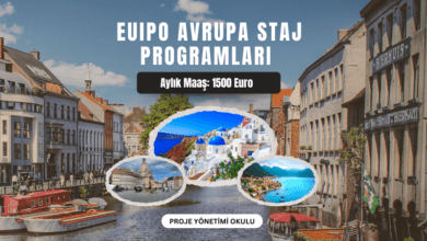 euipo-staj