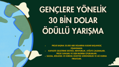30-bin-dolar