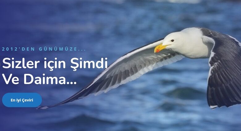 ceviri