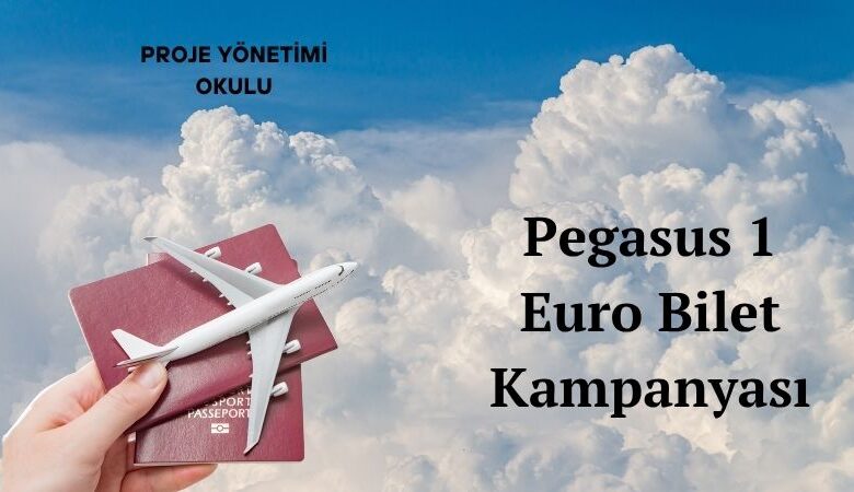 pegasus