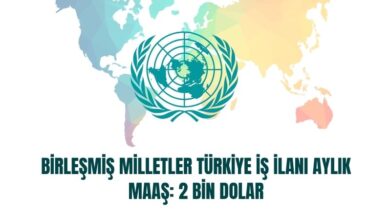 birlesmis-milletler