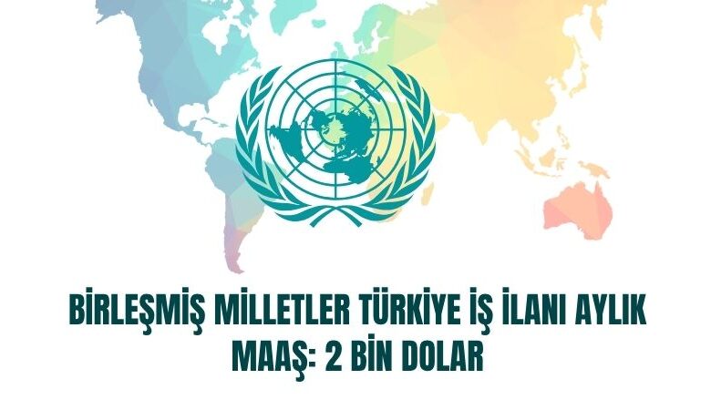 birlesmis-milletler