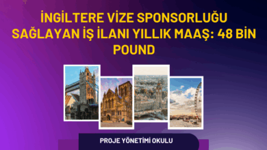 vize