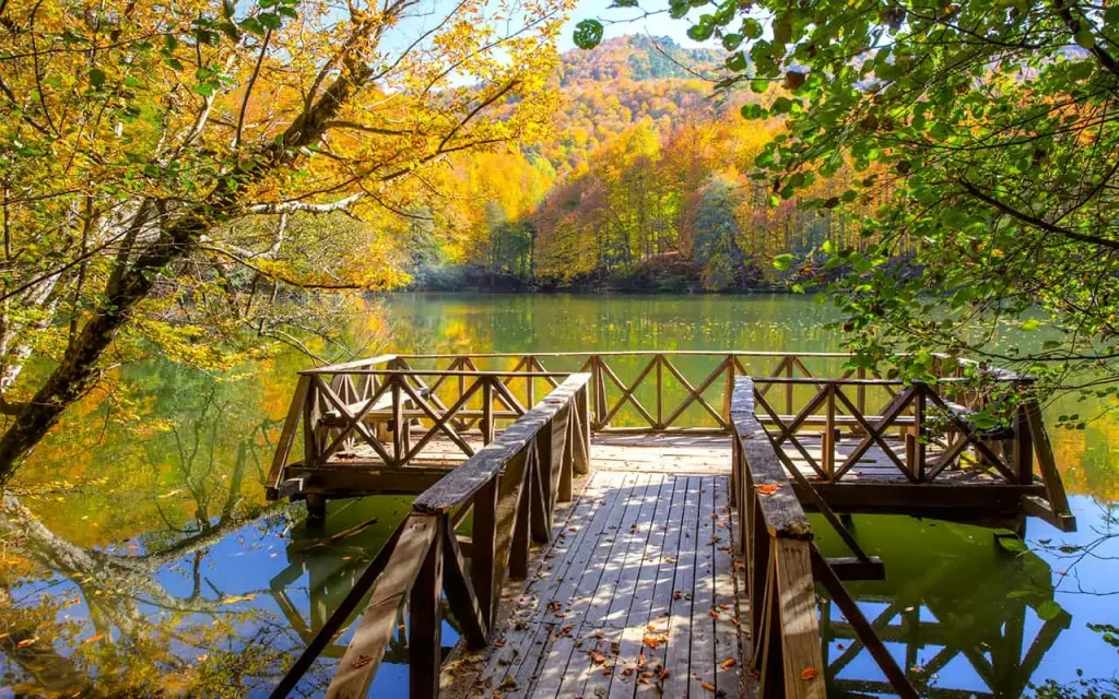 bolu