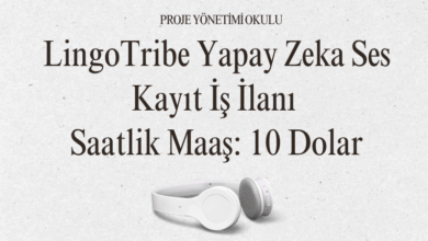 lingo-tribe