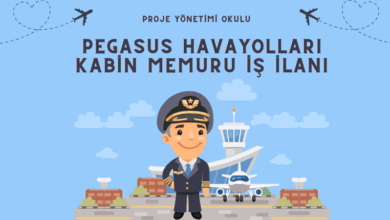 pegasus